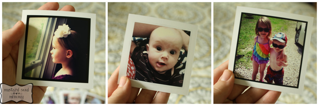 PicMonkey Collage2
