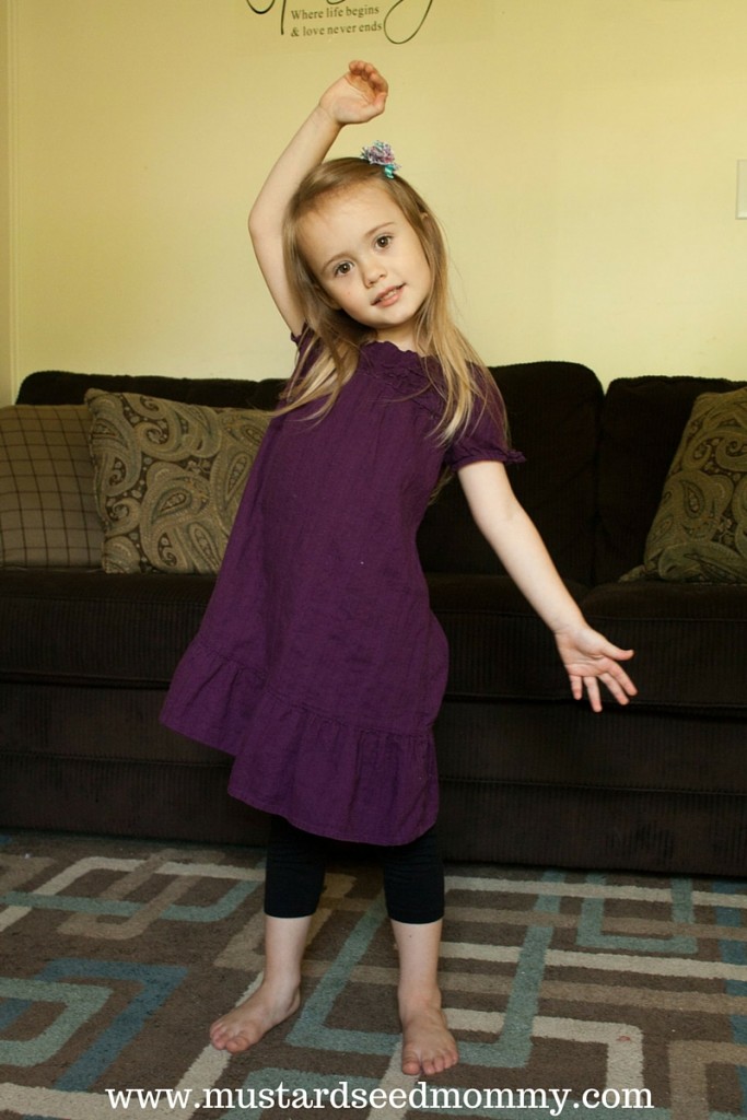 www.mustardseedmommy.com (3)