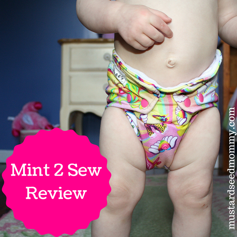 Mint 2 SewReview