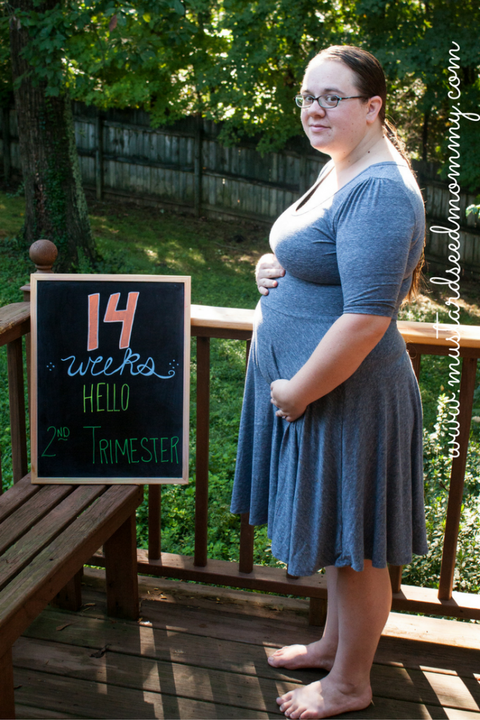 www.mustardseedmommy.com